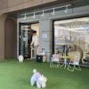 멍린이집 이미지