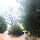 해파랑길 7코스 이미지