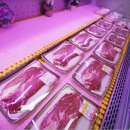 초원한우 이미지