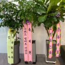 용치과기공소 이미지