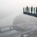 알낳는공인중개사사무소 이미지