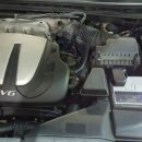 부성카프라자 이미지