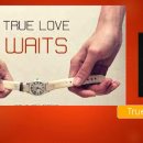 제41회(2311) 17. True love waits/보위 이미지