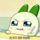 덕질을 안하면 무슨 낙으로 사나요