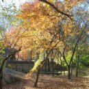 송림펜션 이미지