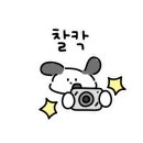 비파노래연습장 이미지