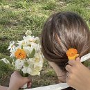 [배꿍이의 결혼준비]스튜디오 촬영용 부케 주문 후기, 동탄 브라이트 그린 부케💐💚