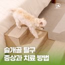 해오름 동물병원 이미지