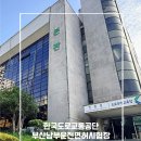 남부운전면허시험장(07127) | 부산 운전면허 갱신 후기｜한국도로교통공단 부산남부운전면허시험장 모바일 운전면허증 신청