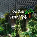 거제 돔 식물원 거제도 정글돔 소요시간 미끄럼틀 정글타워 입장료