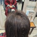 써니남성컷트 이미지