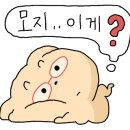 오버더험프 이미지