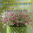 에이스환경 - 강서구 화곡로35길 23-48 | 에이스환경