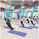 (주)영자피트니스 이수방배 | 방배번지피트니스 에스와이 발레 번지플라잉 체험 후기