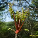 방길마을 이미지