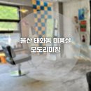 모도리미장