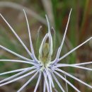 반포삼정공인중개사사무소 이미지