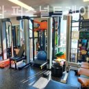 피티 명가 이미지