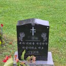 (주)비엔비파트너스 | 캐나다 동부여행 토론토에서 몬트리올 차로 이동하기
