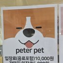 피터펫 카페 안산점 네이버블로그