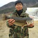 보성강3 Daum카페