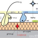숨터지점 네이버블로그