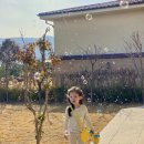 고창독채펜션연화