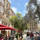 라로사 | 스페인 마요르카 팔마시내 맛집 La Rosa (라로사) 뽈보, 삼겹살 튀김