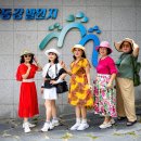 7/25(토) 100만송이 태백해바라기축제, 바람의언덕과 고랭지배추밭, 한강.낙동강 발원지 축제 이미지