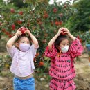 충주 햇살아래 캠핑장 후기 (ft. 명당자리)