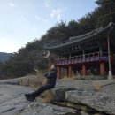 농월정주차장 | 경남 여행 가볼만한곳 달을 희롱하는 함양 농월정