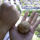 복합영농 이미지