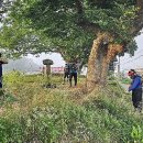 독립만세비 이미지