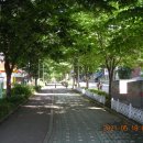 아이파크 103동 앞 이미지