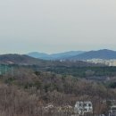 흥덕신동아박사공인중개사사무소 이미지