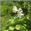 바우농장 이미지