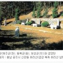 금성문화사 - 동구 백서로125번길 17 | 금성문화사