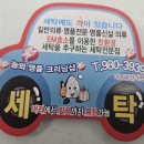 놀뫼세탁소 이미지