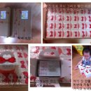 파티앤 캣 이미지