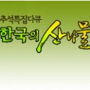 한국의 산나물 MBC특집 이미지