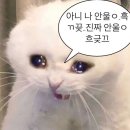 정인소방 | 흐린 맘이 남지 않게