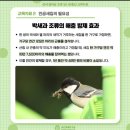 새집만들기 이미지
