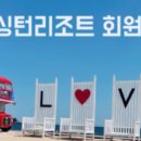돈사미 이미지
