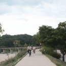 종부둔치화장실(백일홍화장실) | 꽃가마 타고 건너 와 꽃상여 타고 나간 무섬마을 여름풍경