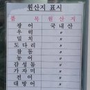 도시어부&미쓰물회 이미지