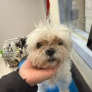 Mong's(몽'스) 이미지