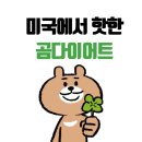 서울껍데기 이미지