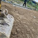 판석농장 이미지