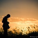 구름에달가듯이 이미지