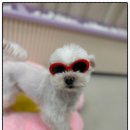 금곡동-8 이미지